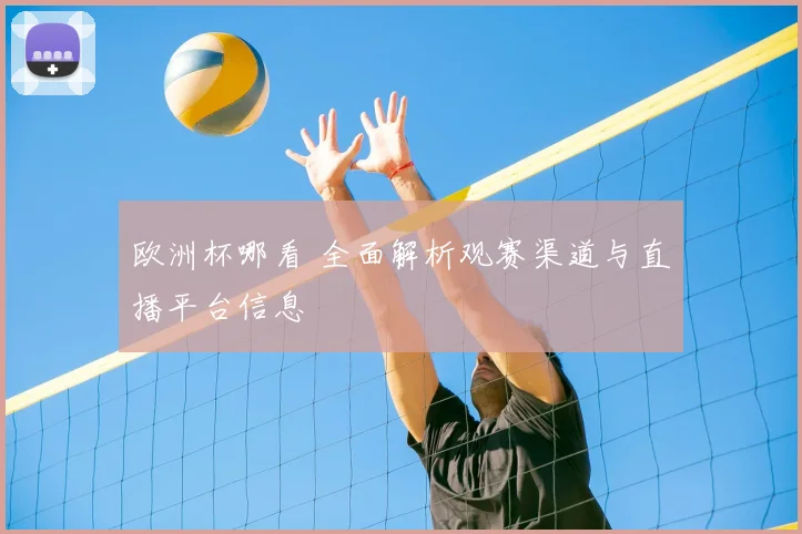 欧洲杯哪看 全面解析观赛渠道与直播平台信息