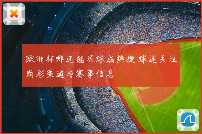 欧洲杯哪还能买球成热搜 球迷关注购彩渠道与赛事信息