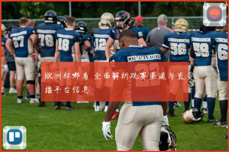 欧洲杯哪看 全面解析观赛渠道与直播平台信息