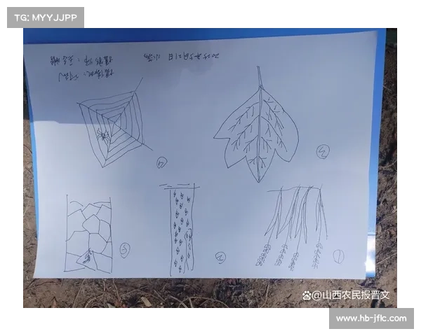 在小满时节感受自然生长的四种独特方式与生命律动的和谐共鸣 在小满时节感受自然生长的四种独特方式与生命律动的和谐共鸣