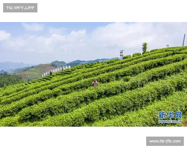小满时节的乡村风光与生命律动感受 走进自然与人文的交织之美 小满时节的乡村风光与生命律动感受 走进自然与人文的交织之美