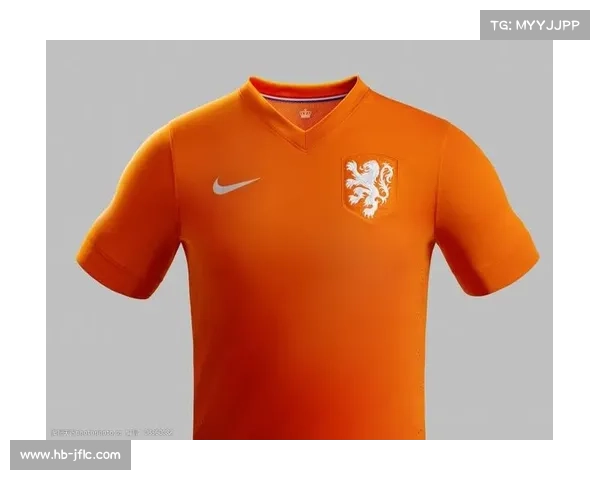 三大猜想揭示荷兰队为何放弃象征荣耀的经典橙色球衣